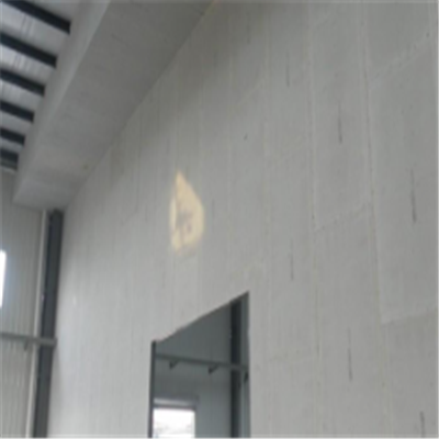 称多宁波ALC板|EPS加气板隔墙与混凝土整浇联接的实验研讨